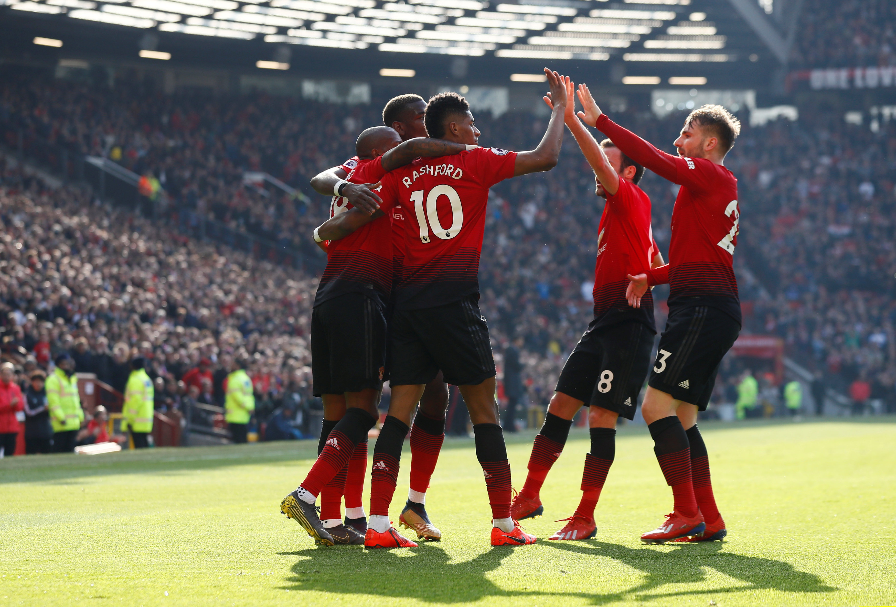 专家的广泛 专家的广泛